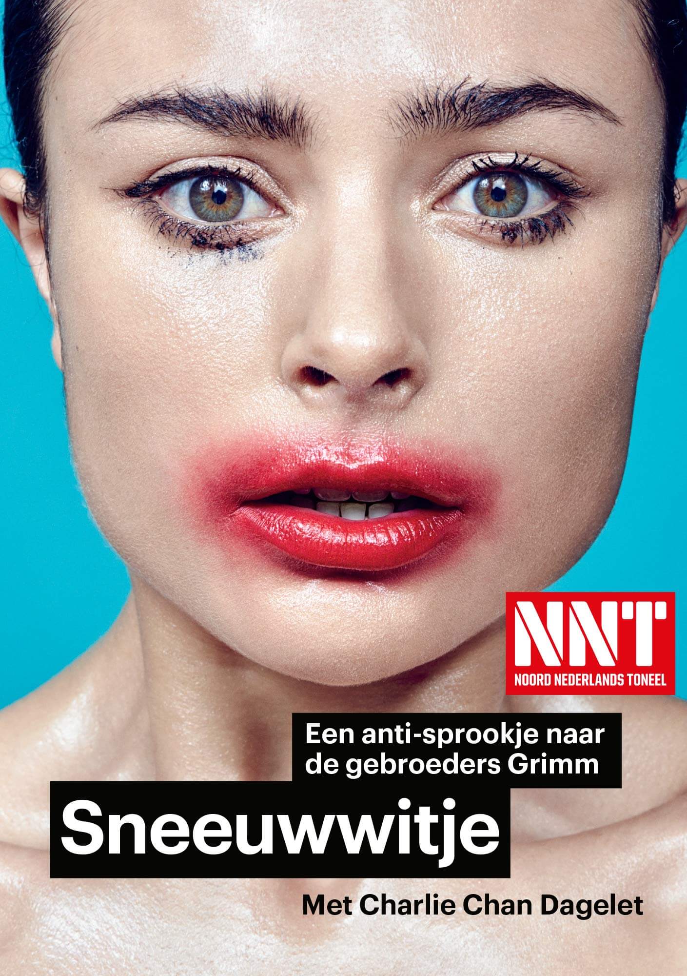 NNT Sneeuwwitje Affiche