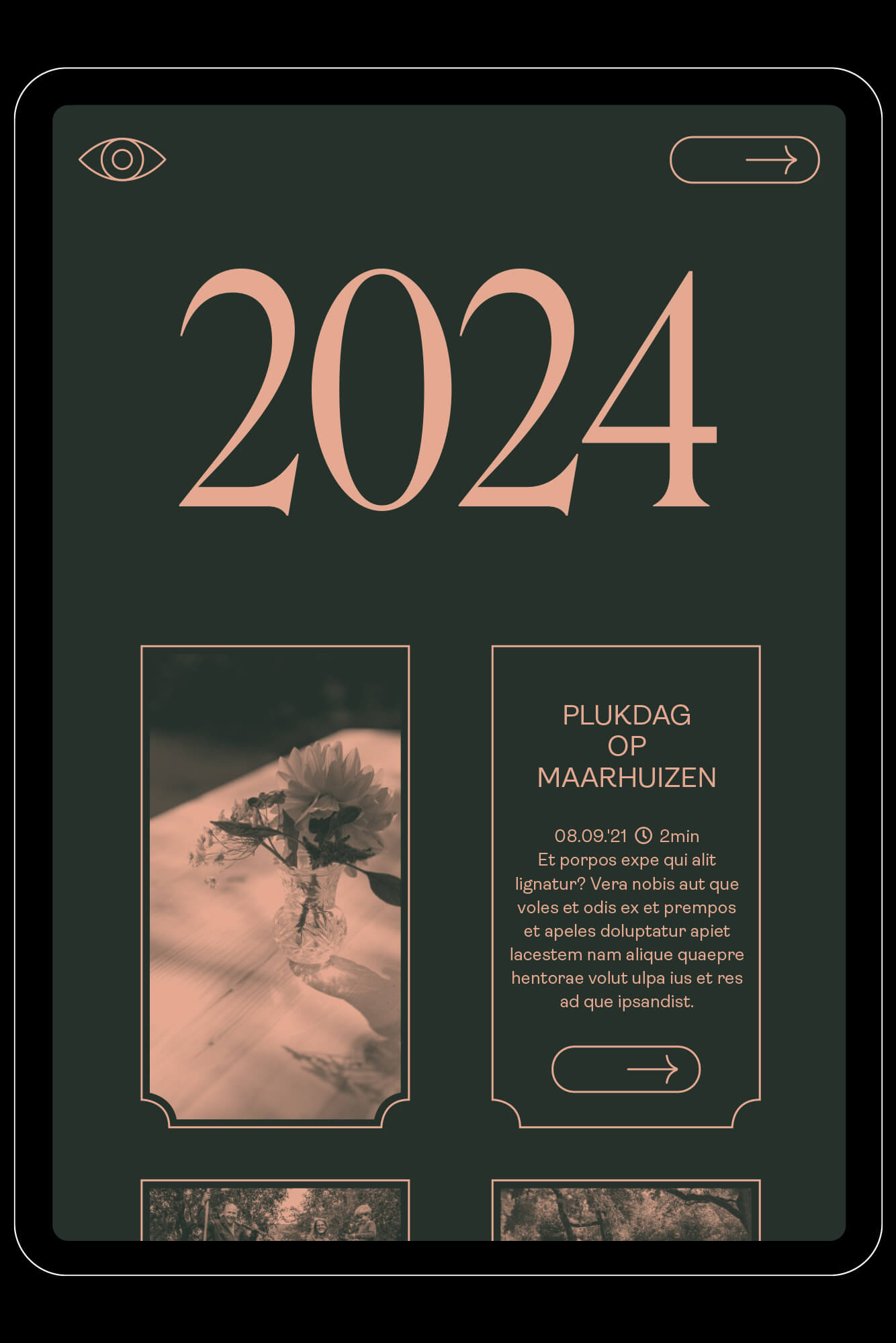 BR Op Maarhuizen iPad 4 LR