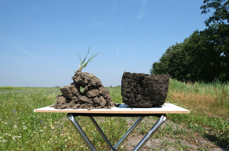 Landscape Collected Sample 6 LR