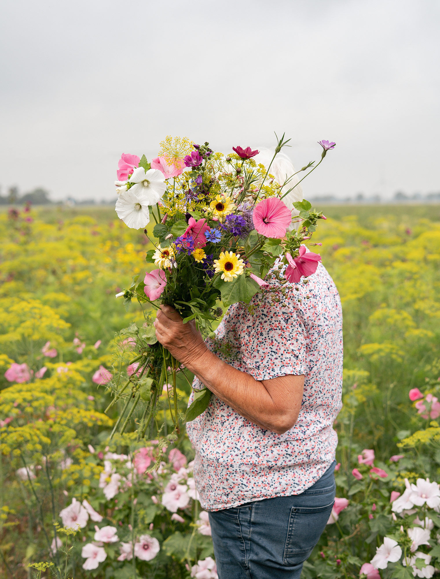 Op Maarhuizen Bloemen 2